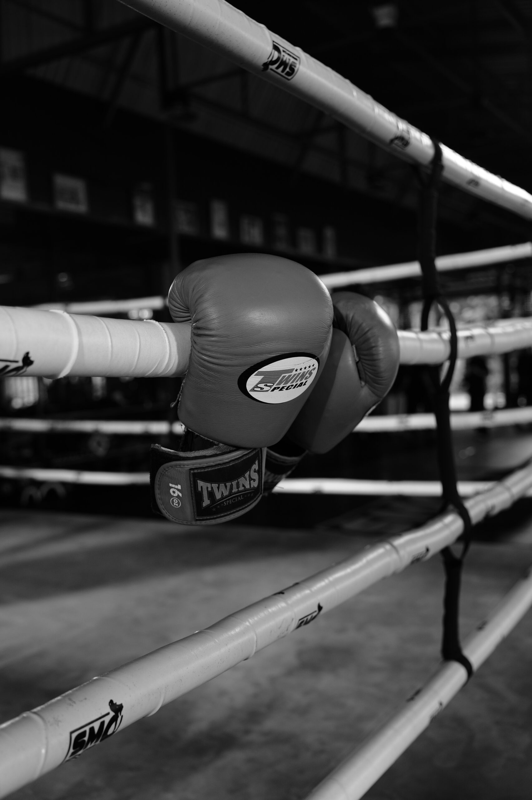Learning How to Fight Differently